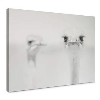 Canvas Tonti - Moment 