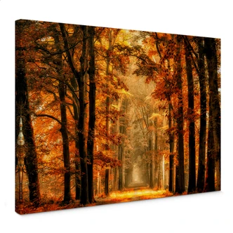 Canvas van de Goor – Herfst 
