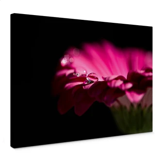 Waterdrop of Life Canvas print 