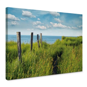 To the Lake Canvas print To the Lake Canvas print