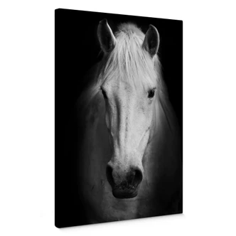 Canvas Wit Paard 