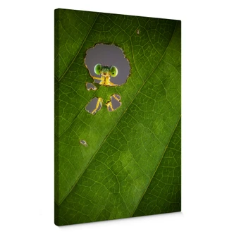 Canvasbillede - Wilianto - Hello little Friend 