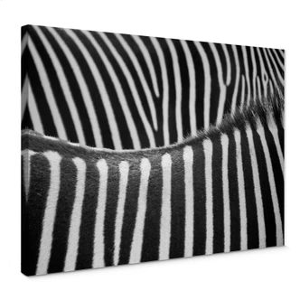 Leinwandbild Zebramuster 