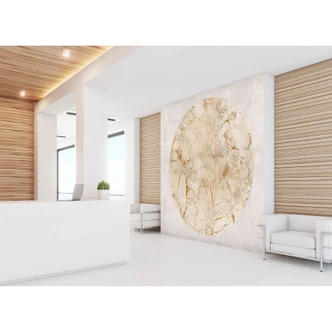 Livingwalls fotomurale Walls by Patel 3 Venus 2 