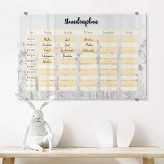 Acrylboard Memoboard Stundenplan Gräser - transparent 