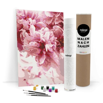 Malen nach Zahlen Leinwandbild - Rosen zur Blüte  
