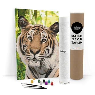 Malen nach Zahlen Leinwandbild - Tiger im Dschungel  