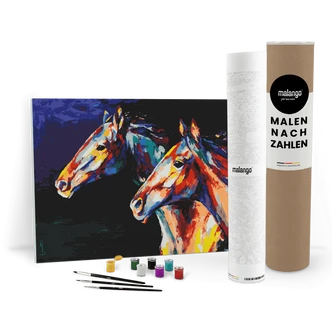 Malen nach Zahlen Leinwandbild - Pferde Paar Malen nach Zahlen Leinwandbild - Pferde Paar