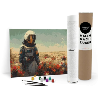 Malen nach Zahlen Leinwandbild - Astronaut  