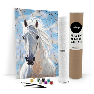 Malen nach Zahlen Leinwandbild - Pferd Piedro Himmel Malen nach Zahlen Leinwandbild - Pferd Piedro Himmel