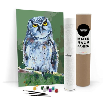 Malen nach Zahlen Leinwandbild - Eule Ernst Malen nach Zahlen Leinwandbild - Eule Ernst