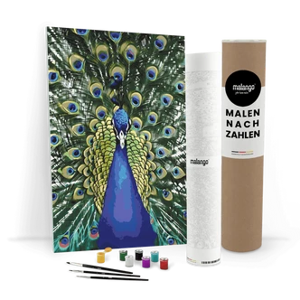 Malen nach Zahlen Leinwandbild - Pfau Paco Malen nach Zahlen Leinwandbild - Pfau Paco