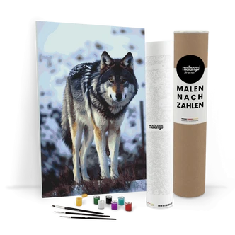 Malen nach Zahlen Leinwandbild - Wolf Walter Malen nach Zahlen Leinwandbild - Wolf Walter