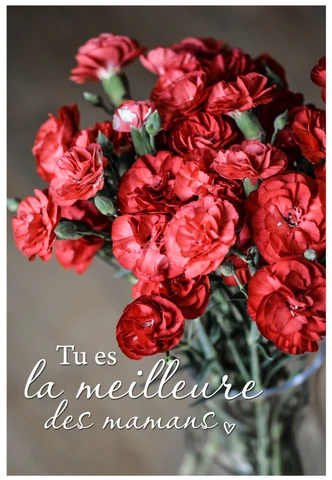 Gutschein Muttertag rote Nelken 