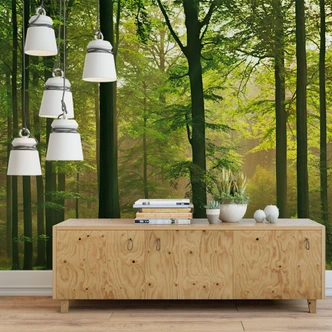 Fototapete Papiertapete Herbstwald 