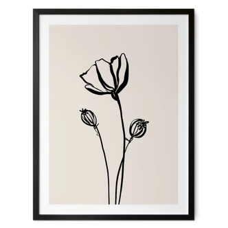 Poster Line Art Coquelicot - Cats & Dotz 