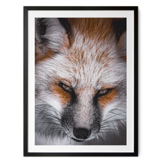 Póster retrato animal zorro rojo - Nagi 