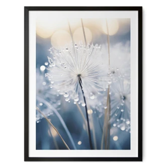 Poster met fonkelende paardenbloemen - Treechild 