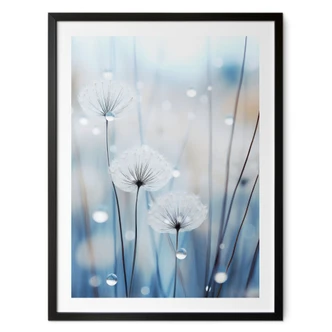 Natuur Poster dauwparels op paardenbloemen - Treechild 