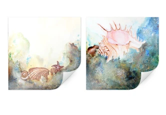 Poster Fedrau - Muscheln (2-teilig) 