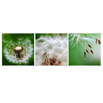 Poster Traveling Flower (3 pieces) 