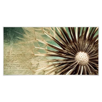 Poster - La poesia del soffione - panoramica 