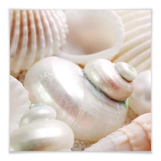 Poster pärlemorglans 