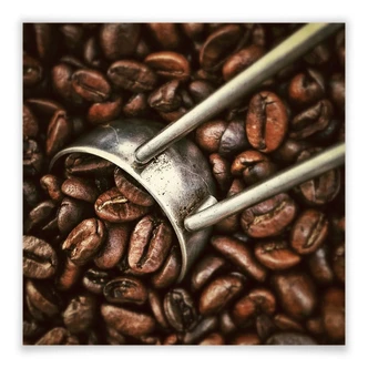 Poster Kaffeerösterei Poster Kaffeerösterei