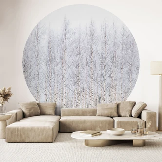 Fotomural Árboles del bosque | Bosque de abedules en invierno - EMELIEmaria - Redondo - autoadhesivo/no tejido Fotomural Árboles del bosque | Bosque de abedules en invierno - EMELIEmaria - Redondo - autoadhesivo/no tejido