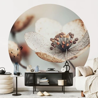 Wall Mural Floral wallpaper Boho dried flower macro - Treechild - Round - self-adhesive/non-woven 