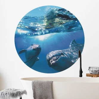 Dolfijnen Onderwater Muursticker - Rond Dolfijnen Onderwater Muursticker - Rond