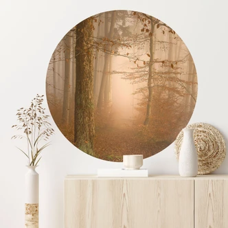 Wallsticker tåge og lys i efterårsskoven - Maier - Round 