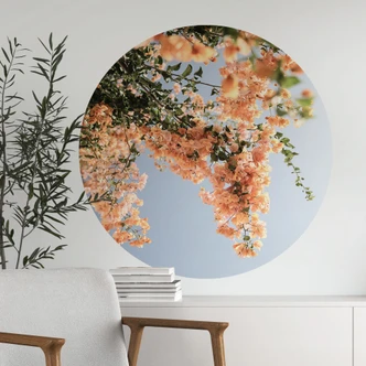 Wandtattoo Pfirsichfarbene Blüten in Assos - Shot by Clint - Rund 