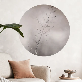 Naklejka na ścianę Źdźbła trawy z kroplami rosy - Parapet - Okrągła Naklejka na ścianę Źdźbła trawy z kroplami rosy - Parapet - Okrągła