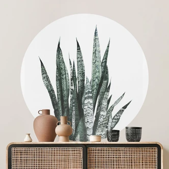 Wandtattoo Bogenhanf Pflanze - Sisi & Seb - Rund 