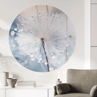 Naklejka na ścianę Lśniące mlecze - Treechild - Okrągła 