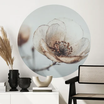 Wallsticker torr blomma beige natur poesi - Treechild - Rund 