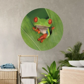Muursticker boomkikker in het regenwoud - van Duijn - Rond Muursticker boomkikker in het regenwoud - van Duijn - Rond