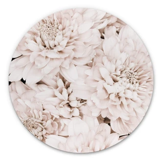 Wandcirkel 1X Studio - Apricot Aster 