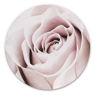 Wandcirkel 1X Studio - Rose 