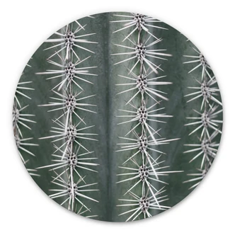 Wandcirkel 1X Studio - Cactus Wandcirkel 1X Studio - Cactus
