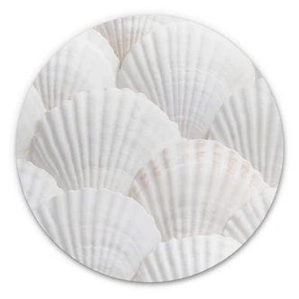 Wandcirkel 1X Studio - Schelpen Wandcirkel 1X Studio - Schelpen