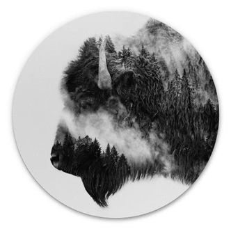 Alu-Dibond Angyalosi - Bison - Rund 