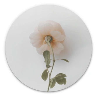 Wandcirkel Annie - The Rose 