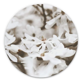 Wandcirkel Annie - Jasmin 