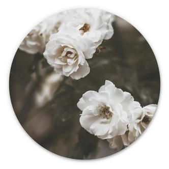 Wandcirkel Annie - Louise Bugnet Rose 
