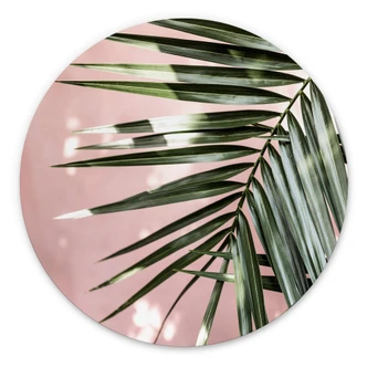 Wandcirkel Palmblad voor roze muur - Böhmer 