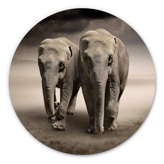Wandcirkel Olifanten 