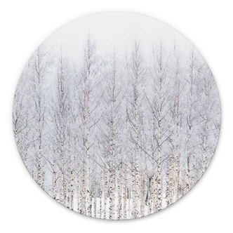 Wanddecoratie Berkenbos in de winter - EMELIEmaria - Alu-Dibond Rond 