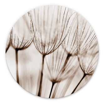Wandcirkel Dandelions 